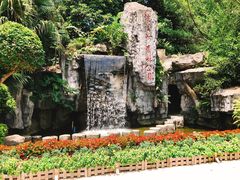 -广州市流溪河国家森林公园