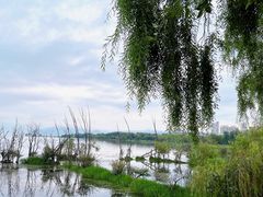 -大理洱海