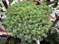 -StorHub 趣存自助仓·迷你仓(虹桥店)