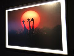 -罗红摄影艺术馆