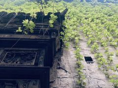 -书隐楼