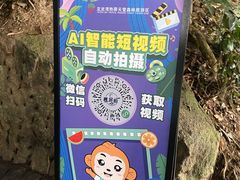 -亚龙湾热带天堂森林公园