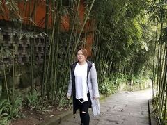 -南山植物园