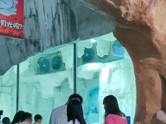 -西安华夏文旅水世界