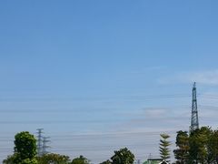 -王借岗森林公园