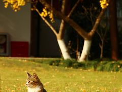 -上海交通大学(闵行校区)