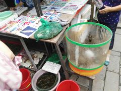 旁边市场-荣阳楼(山塘街店)