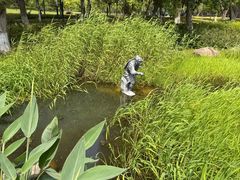 -金鸡湖景区