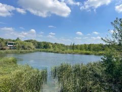 -贡湖湾湿地公园