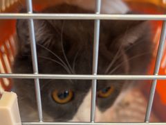 -小伙伴宠物医院•急重症转诊中心·老年专科·犬猫全科(北大街总院)