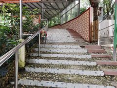 -洞背山庄(洞背院区式管理小区店)