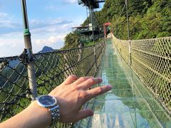 -梦幻奥陶纪景区