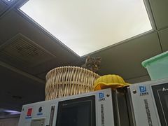 -爱侣宠医·鹦鹉专科·小型哺乳类·异宠专科(灵石路店)