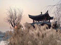 -百脉泉景区