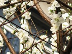 -龙湖星悦荟(颐和店)