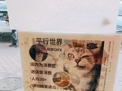 -平行世界·猫咖(首经贸店)