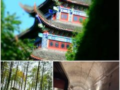 -816工程景区