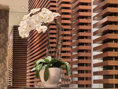 -丽思卡尔顿酒店泳池(金融街店)