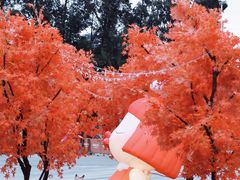 -万科生活广场(东莞松山湖店)