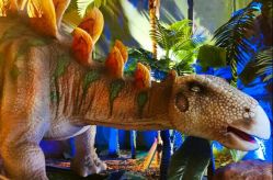 -恐龙探索乐园(磁器口店)