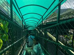 -海南槟榔谷黎苗文化旅游区