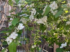 -Bracket Coffee(银河SOHO店)