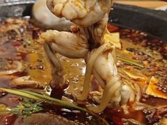 -鸿顺老铁锅美蛙鱼府(解放碑店)