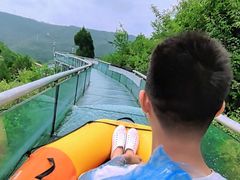 -铜川市金锁关石林