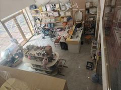 -钦宠·猫咪售卖·洗护·寄养(东圃旗舰店)