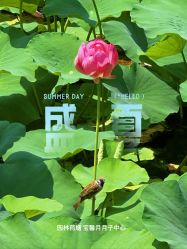 点击看大图 -宝馨月月子中心(友谊医院店)