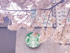 -玛格萝妮比萨屋(四平店)