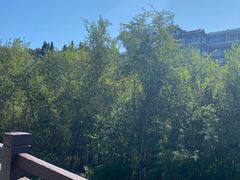 -北京金海湖景区