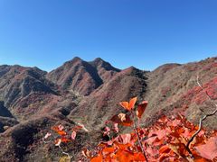 -水峪民俗村