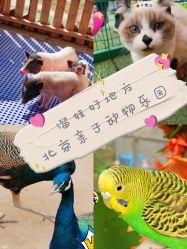 -萌宠亲子动物乐园(槐房万达店)