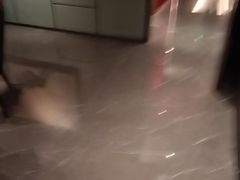 -凤凰园烤鸭店·唐山菜·传承花椒肉(老唐丰路店)
