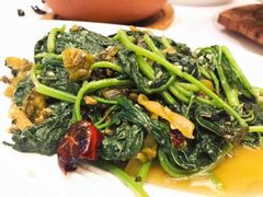 老坛酸菜炝红薯尖-眉州东坡(中日友好医院店)
