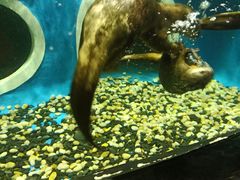 -成都浩海立方海洋公园