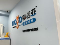 -纳吉亚猫专科动物诊疗中心(蒋宅口分院)