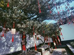 -东山雕花楼