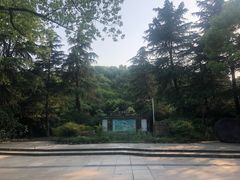 -新洲生态园