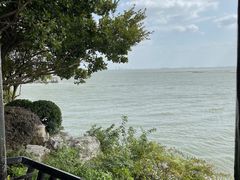 -贡湖湾湿地公园