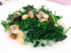 上汤菜苗-围龙屋客家食府(福田店)