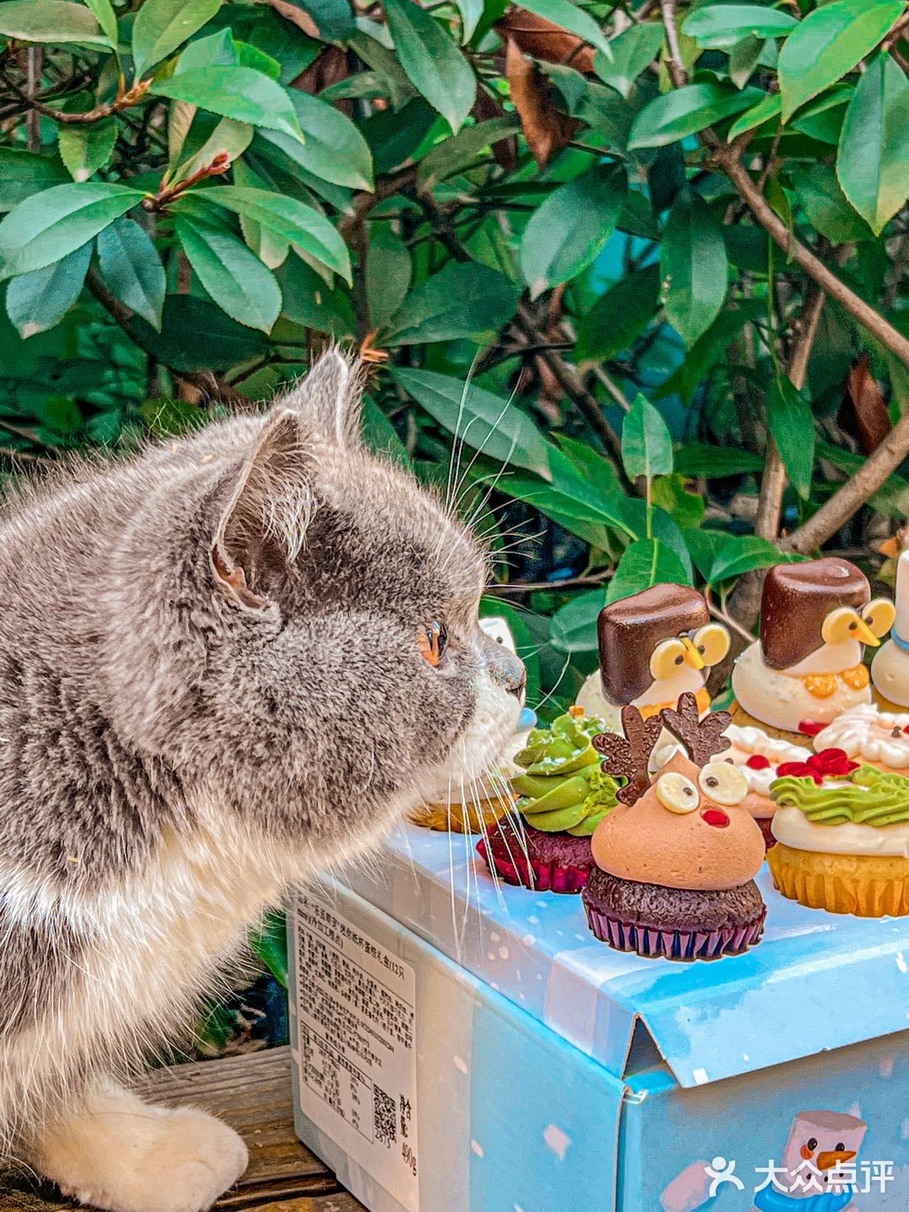 🧁已经忍不住要过圣诞节了！！