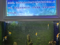 -嘉兴海底世界
