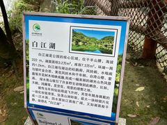 -广州白江湖森林公园