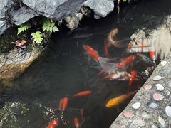 -黔灵山公园