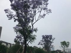 -沐仙湖湿地公园