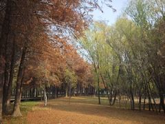 -长广溪湿地公园