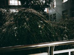 -金陵中学(河西分校)