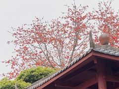 -南宁南湖公园